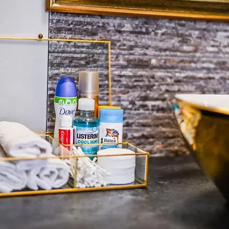 Luxury In The Center Apartment Pressburg