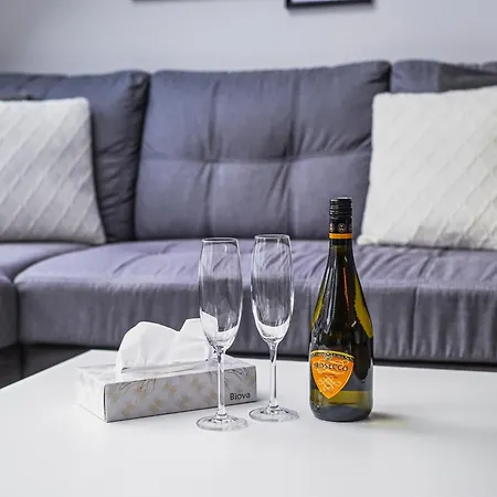 דירה Luxury Loft Modern And Elegant ברטיסלאבה