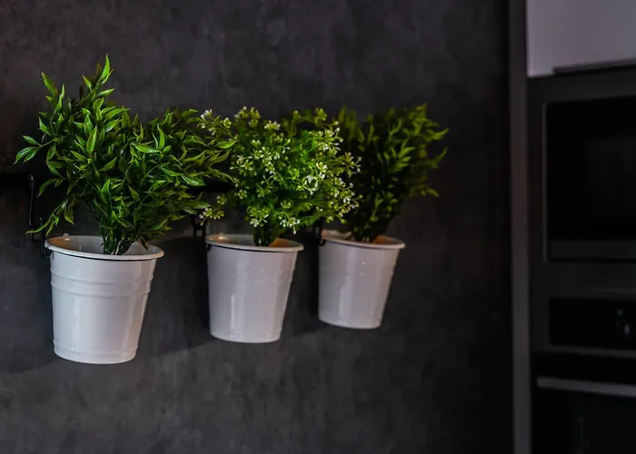 Luxury Loft Modern And Elegant Bratislava